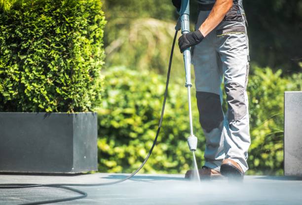Best Pool Deck Cleaning  in Bonadelle Ranchos, CA